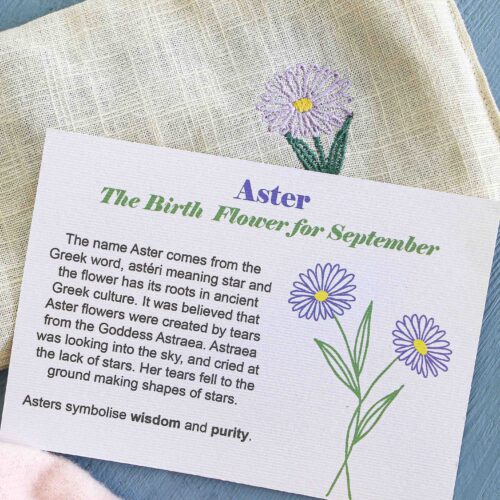 Birth flower wheat bag aster September gifts