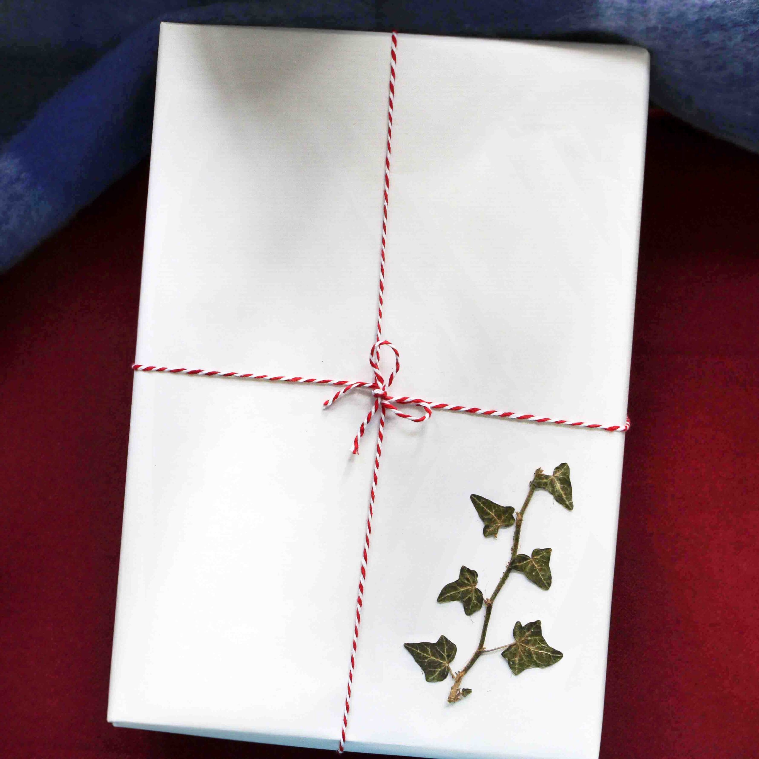 StephieAnn festive wrapping pressed ivy